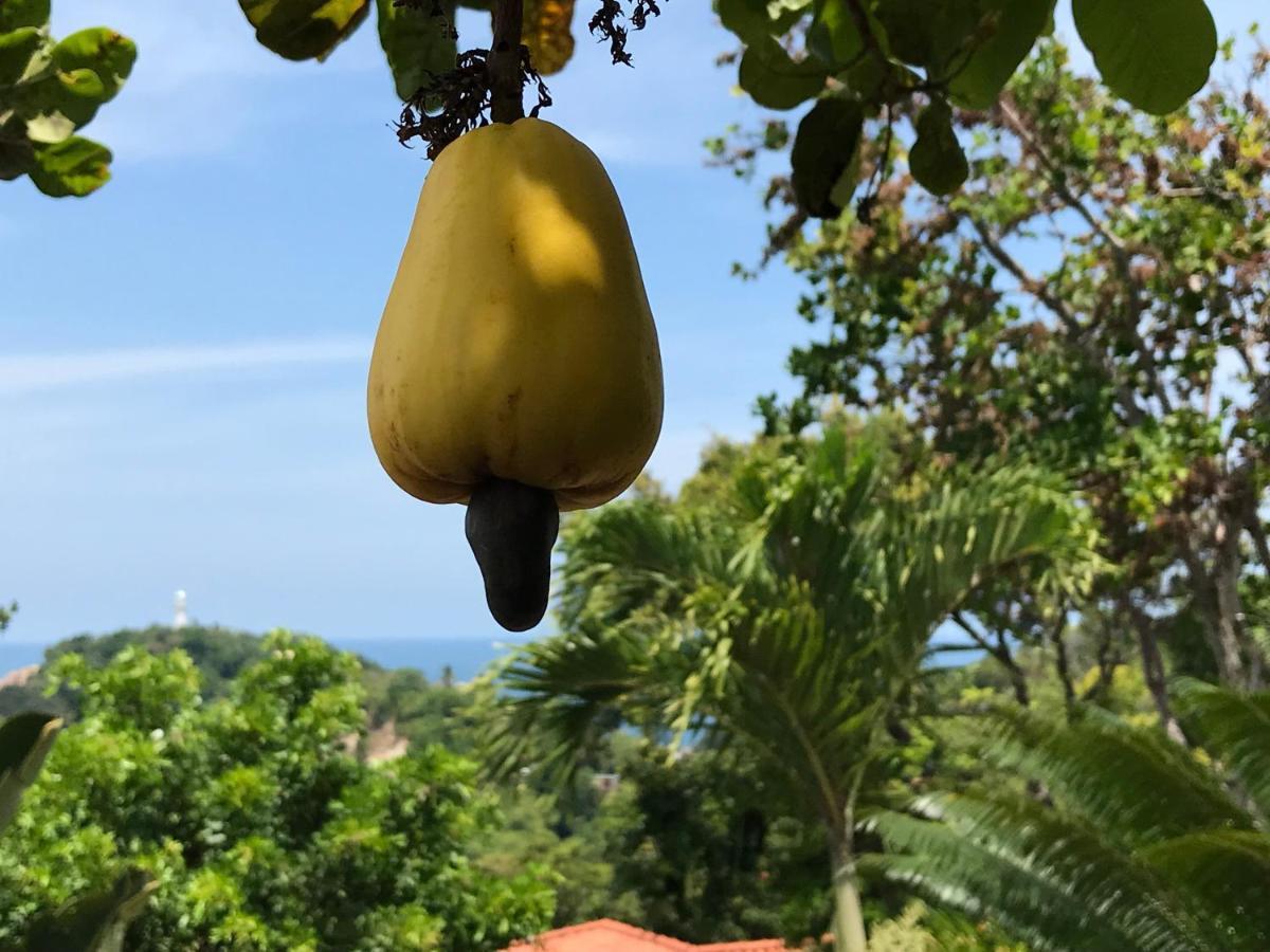 Bangalo Dos Sonhos Daire Morro de São Paulo Dış mekan fotoğraf
